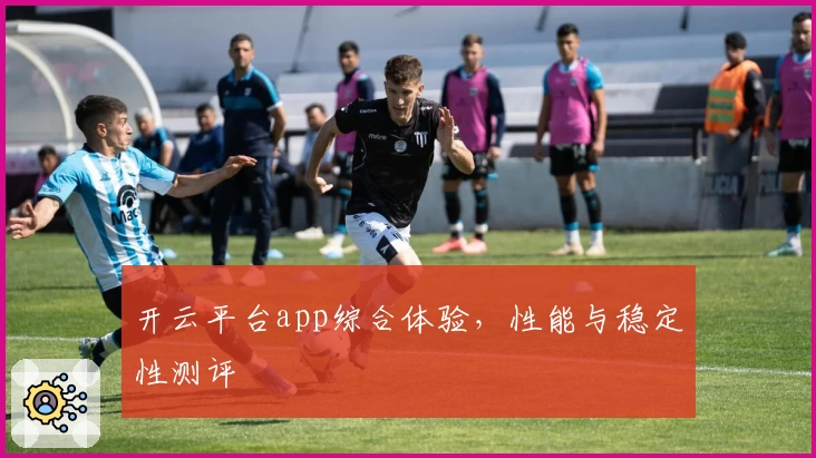 开云平台app综合体验,性能与稳定性测评