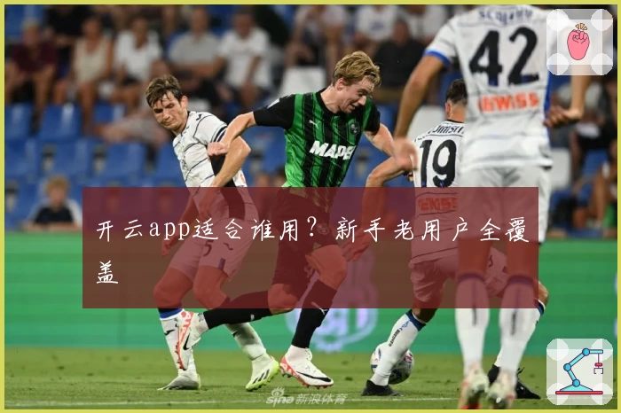 开云app适合谁用？新手老用户全覆盖