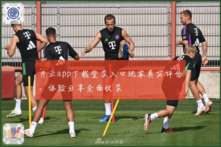 开云app下载登录入口玩家真实评价,体验分享全面收录